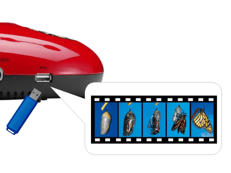 1160202208181219008332