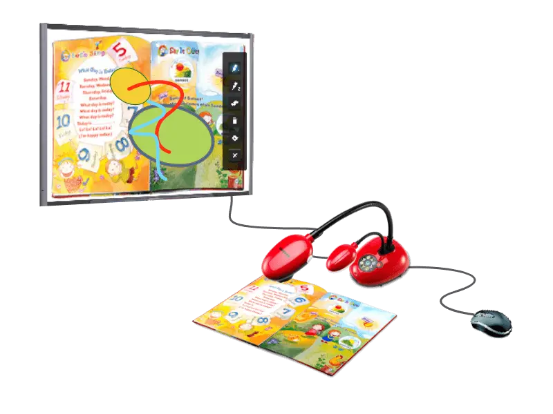 1161202208181219013019