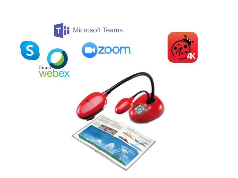 1162202208181219017861