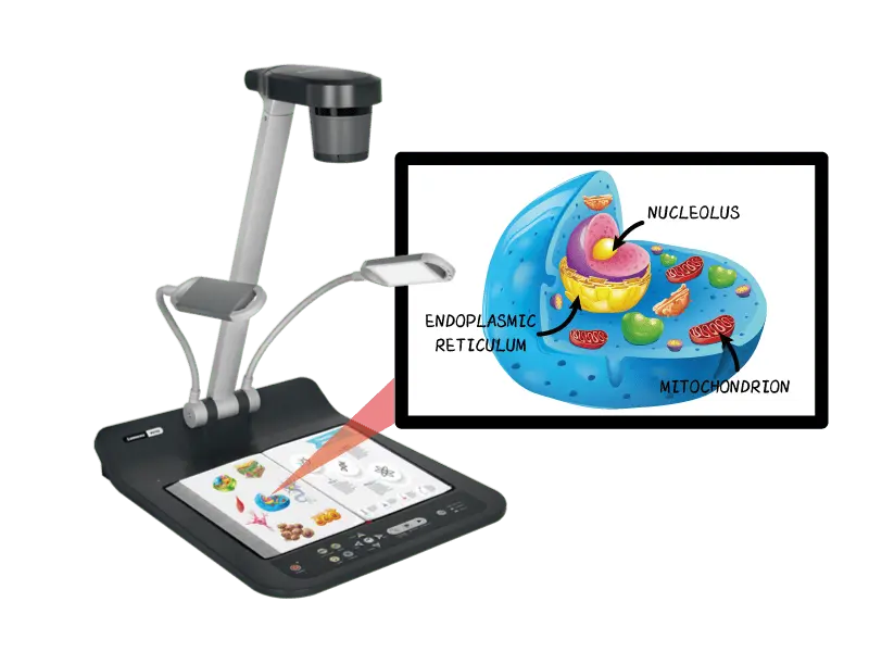 Lumens PS753 Visual Presenter