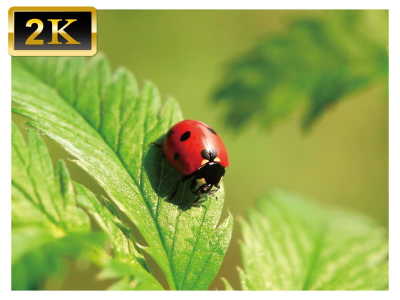 1221202208181219310203